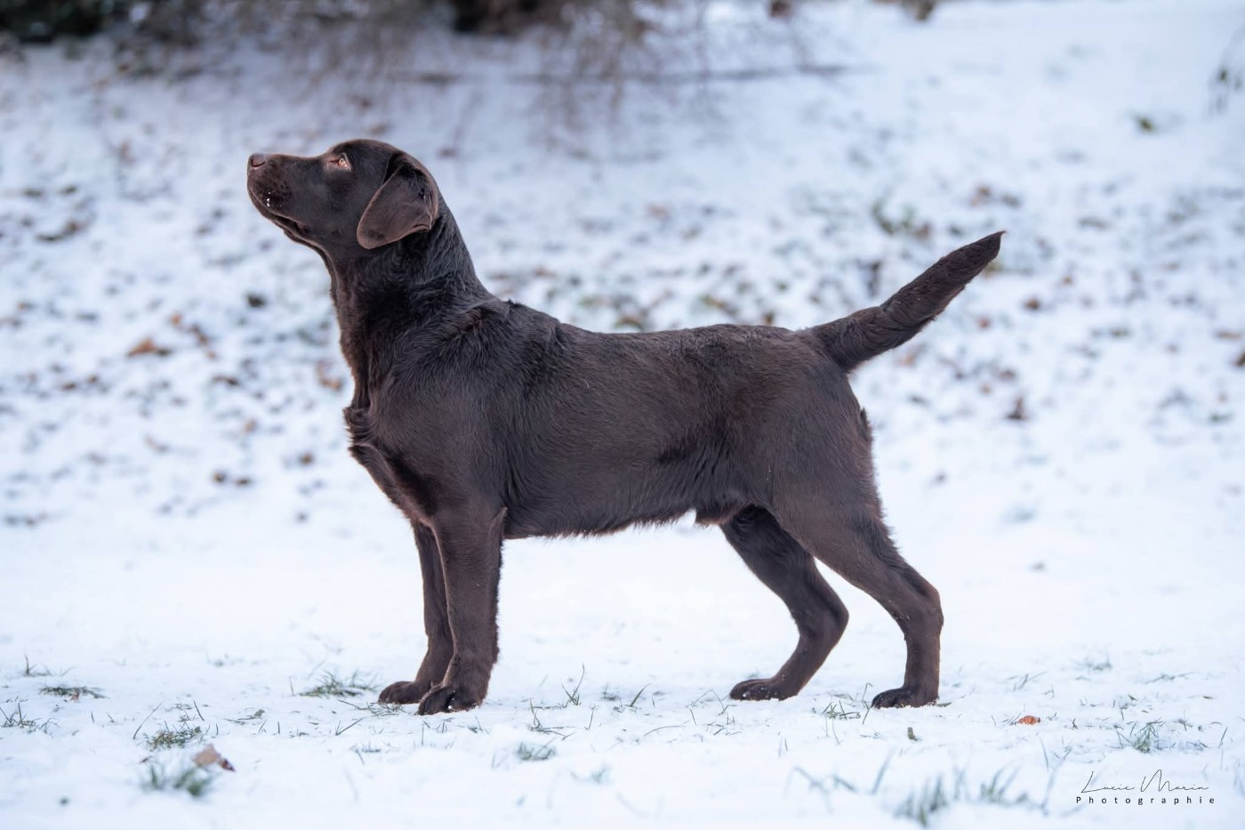 merakistone Even all of me