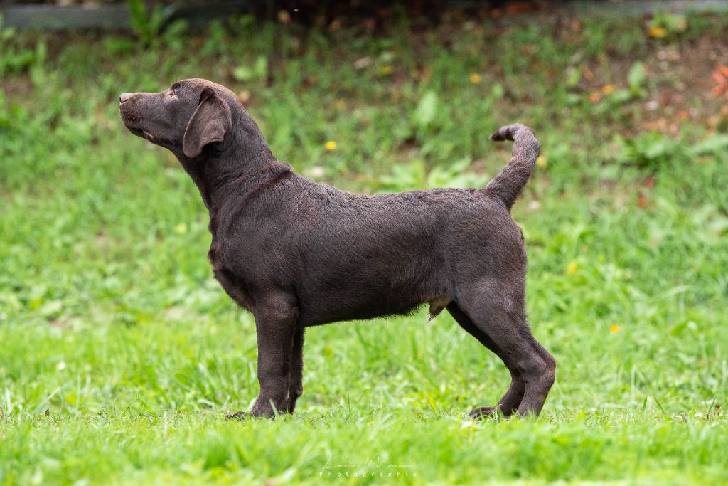 merakistone Even all of me