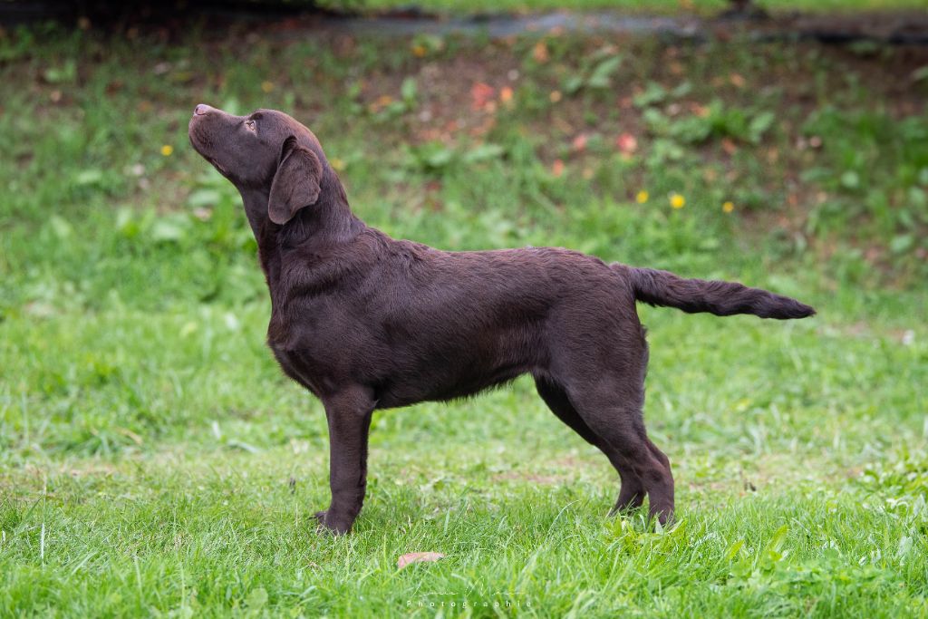 merakistone Don't let me go