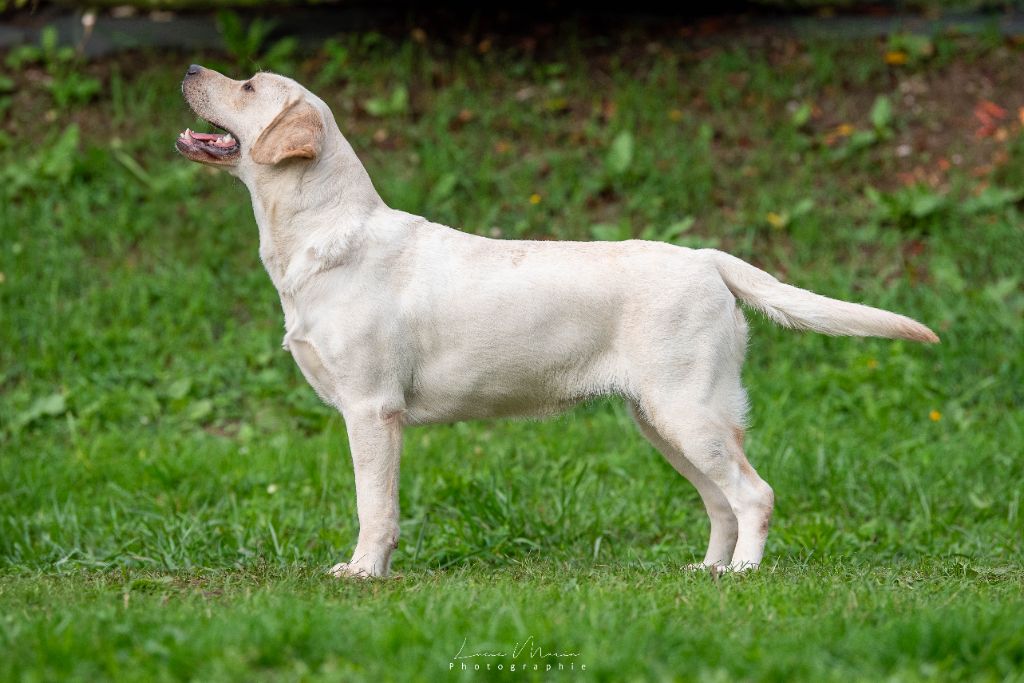 Hunting Friend Vanellope