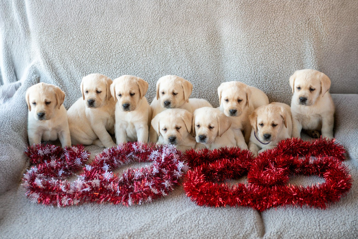 Hunting Friend - BONNE ANNEE